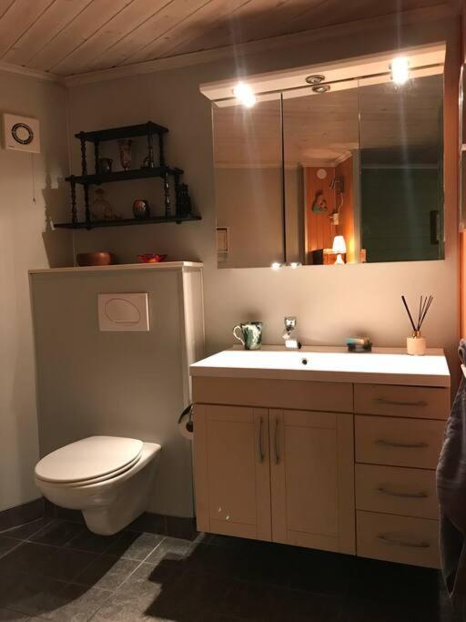 Charming Studio With Private Patio Στάβανγκερ Εξωτερικό φωτογραφία